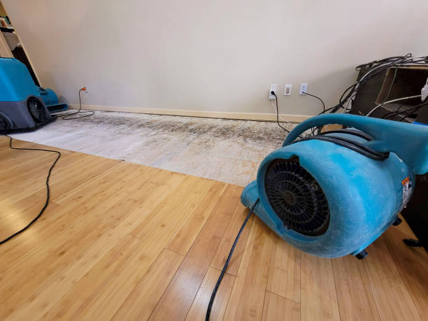 Professional Burst Pipe Water Damage technician working in Youngsville, NC